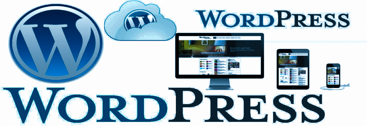 طراحی سایت وردپرسی حرفه ای و کاملا اختصاصی